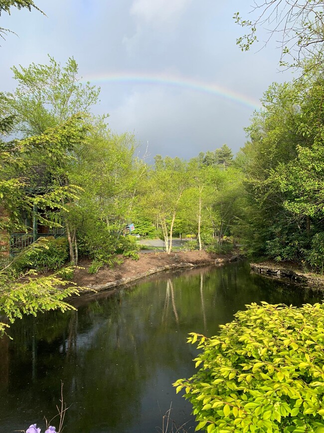 Building Photo - 103 Clary Ct