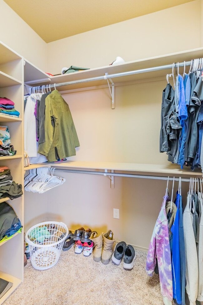 Building Photo - Beautiful 3 Bed 2 Bath Home