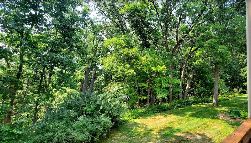 Building Photo - 1514 Charter Oak Dr