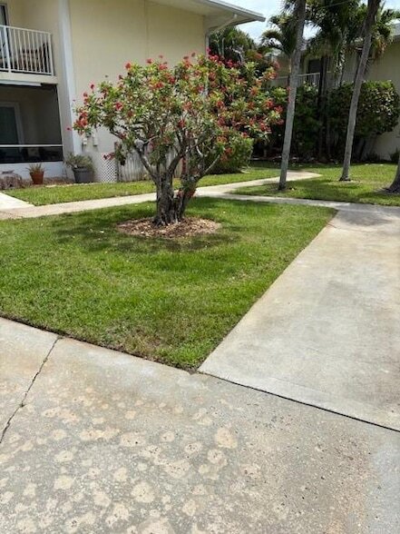 Primary Photo - 805 Hummingbird Way
