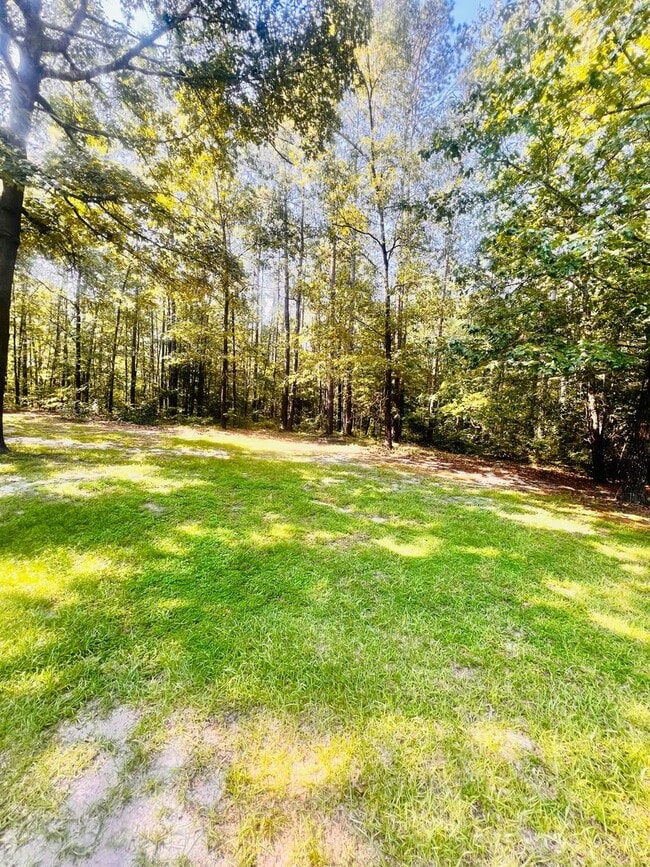 Building Photo - Tucked Away 3 Bedroom Gem on Private Road ...