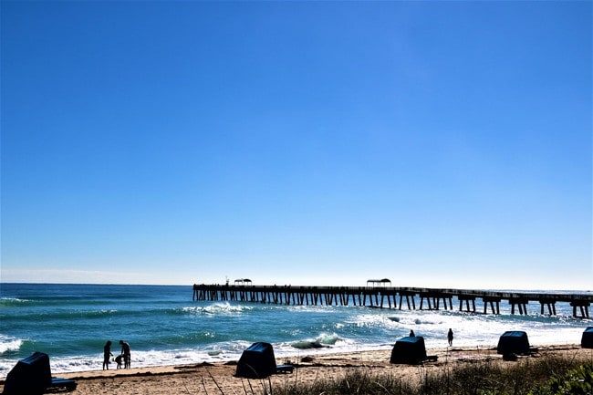 Building Photo - 890 N Federal Hwy