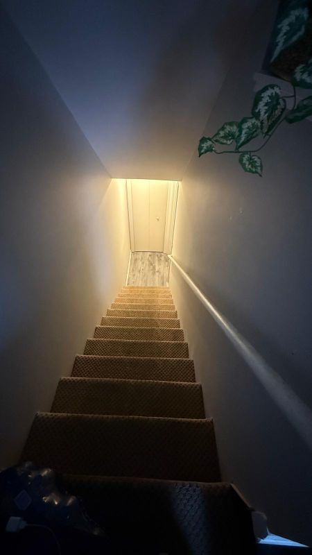 Building Photo - 735 Hamilton Ct