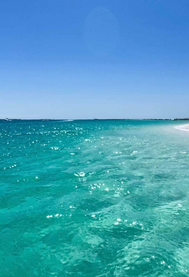 Building Photo - 500 Gulf Shore Dr