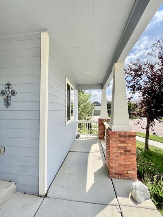 Building Photo - Stunning 4 Bed/4 Bath Home in Banning Lewis Ranch