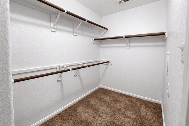 Building Photo - 3515 Cannon Dr