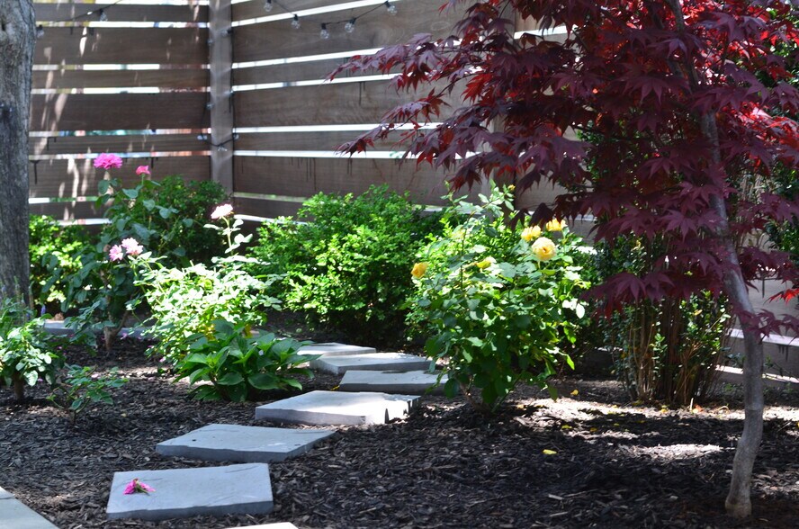 Fenced yard & garden - 58 Lincoln St
