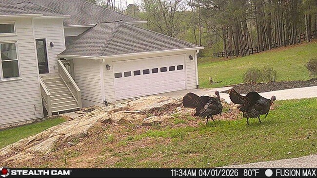 Building Photo - 241 Nacoochee Dr