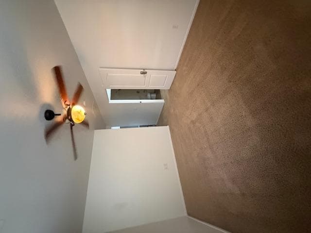 Building Photo - 4289 E Carla Vista Dr