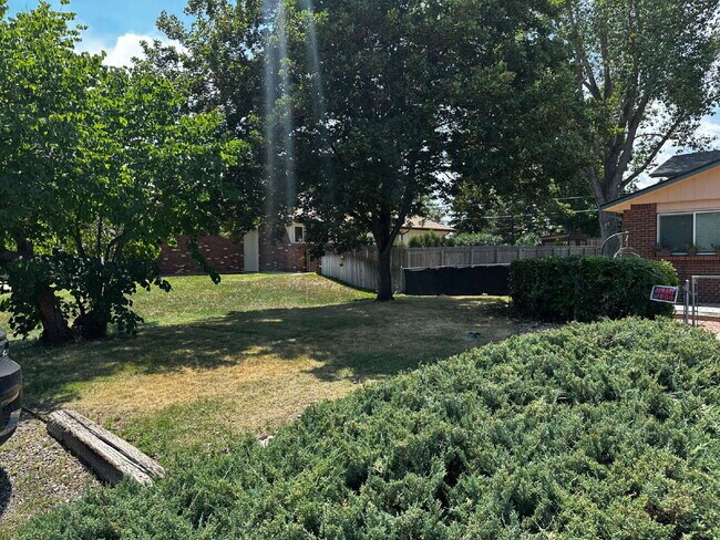 Building Photo - AVAILABLE OCTOBER! Wonderful 3 bed/2 bath ...