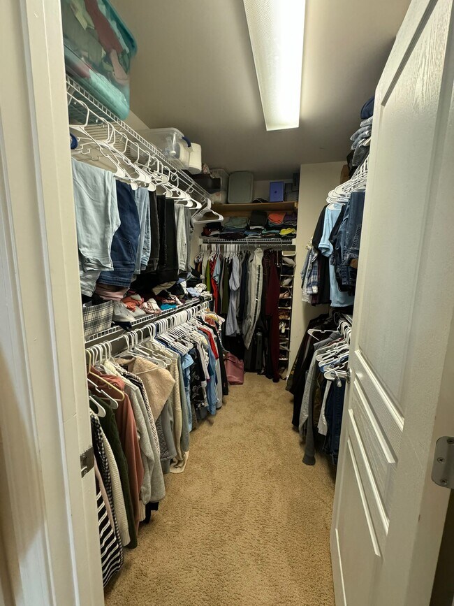 Building Photo - 8221 Saltwood Pl