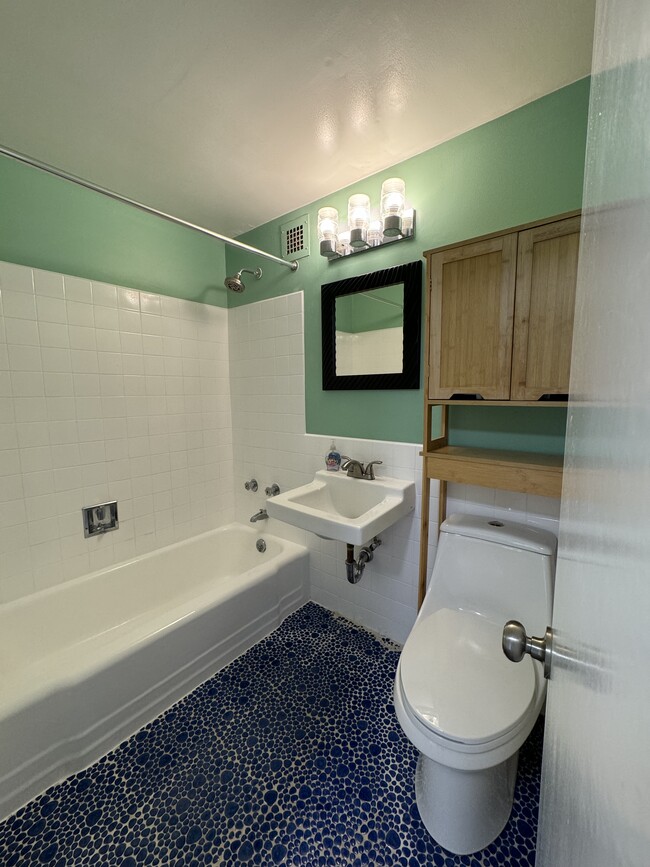 bath showing full tub/shower - 1301 Delaware Ave SW