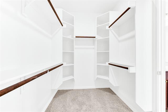 Building Photo - 4308 Cheetah Trail