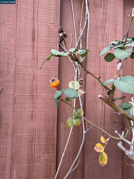 Building Photo - 350 Caroni St