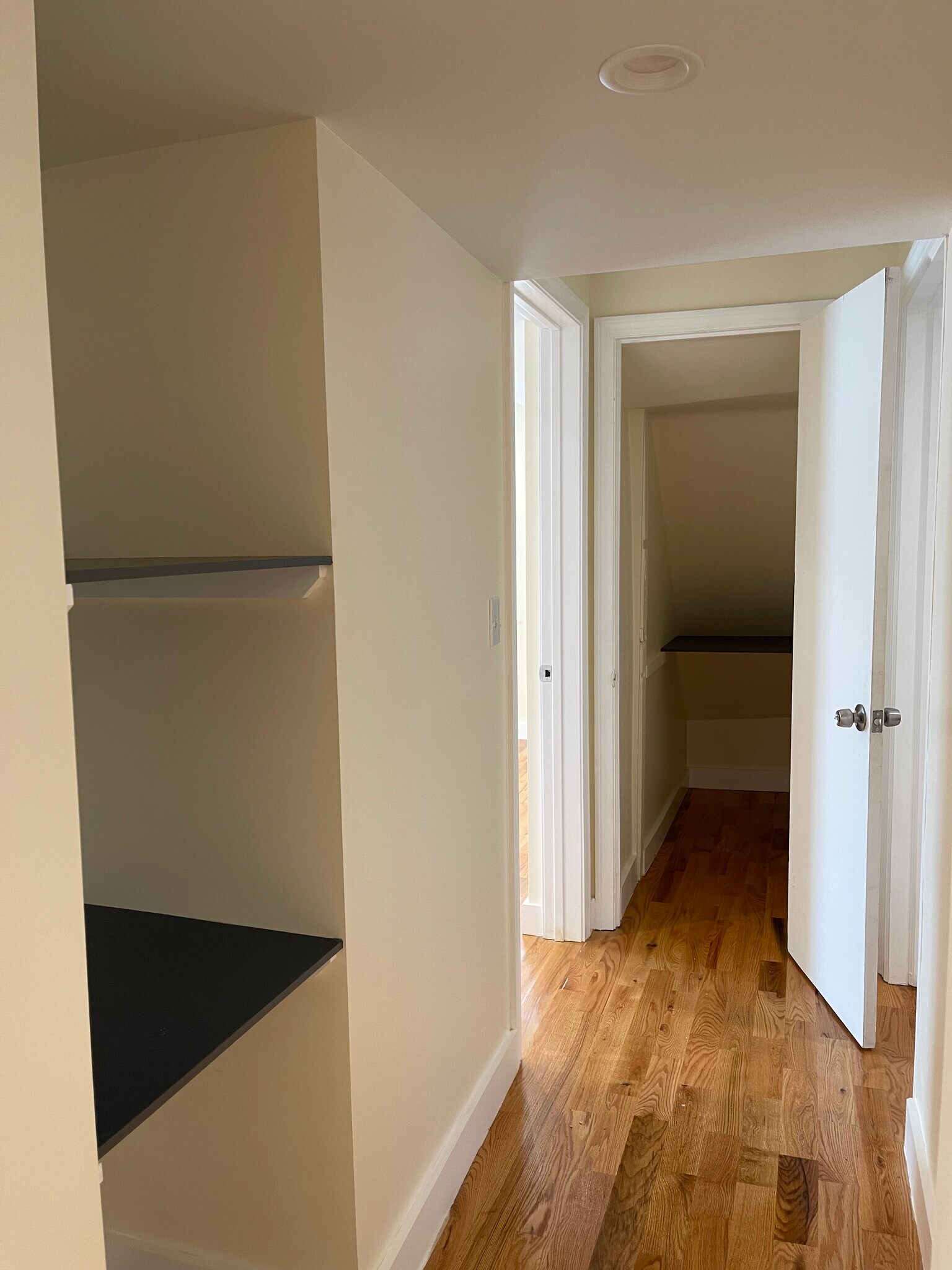 Walking closet - 528 Chapel St