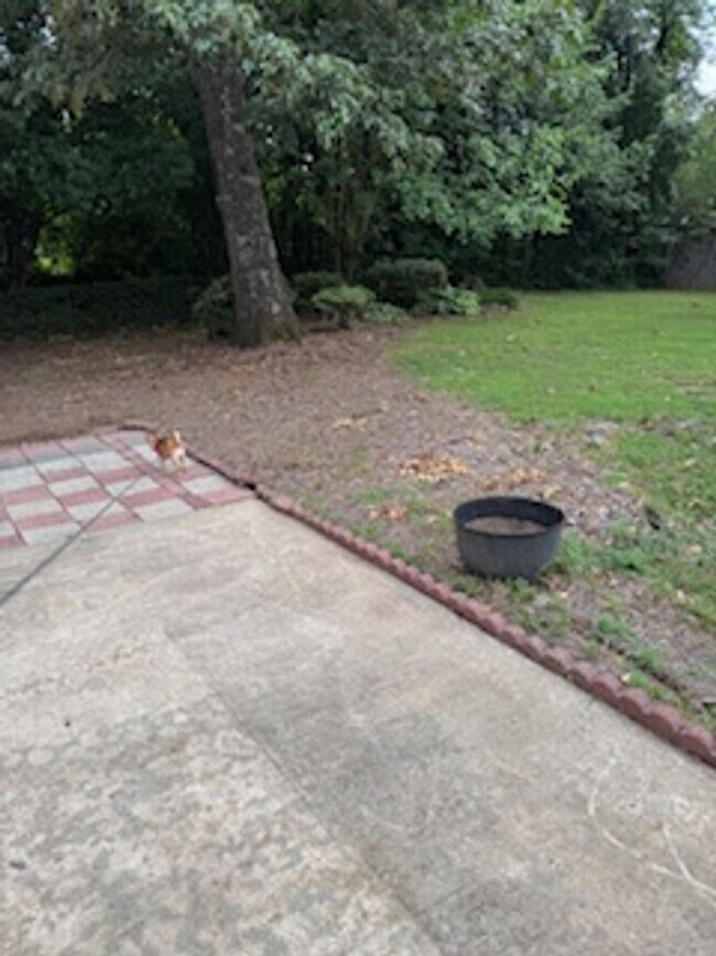 Building Photo - 4 Bedroom with fenced in yard!