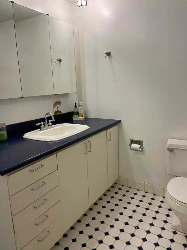 Building Photo - 621 S Plymouth Ct