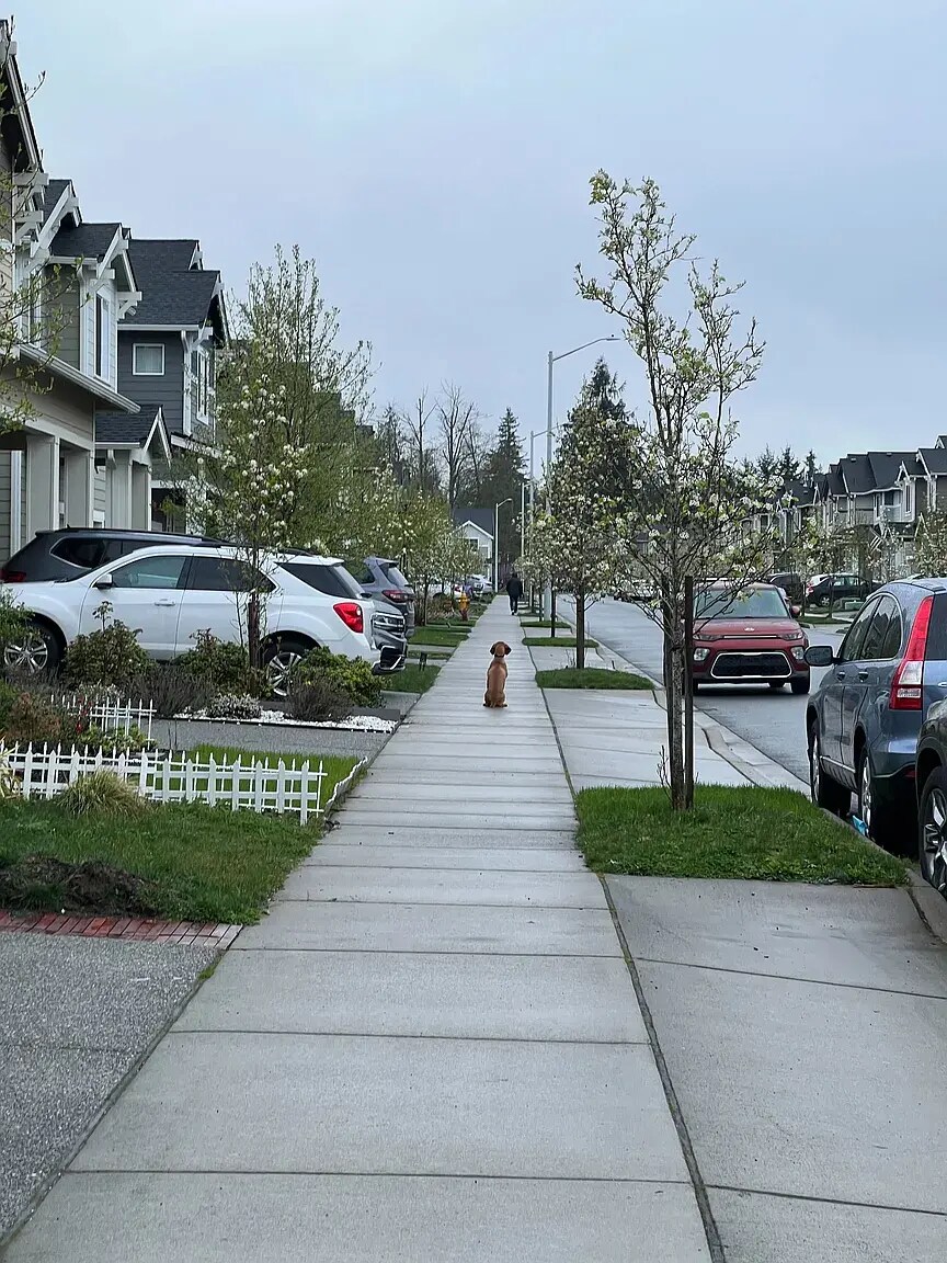 Building Photo - 3742 80th Ave NE