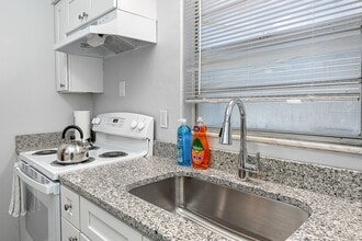 Building Photo - Renovated one bedroom with dog area heart of Tampa near veterans hospital and USF