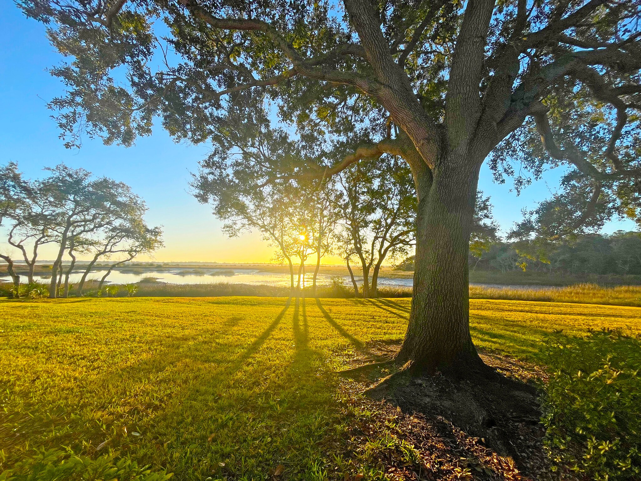 Building Photo - 26 Aledo Ct