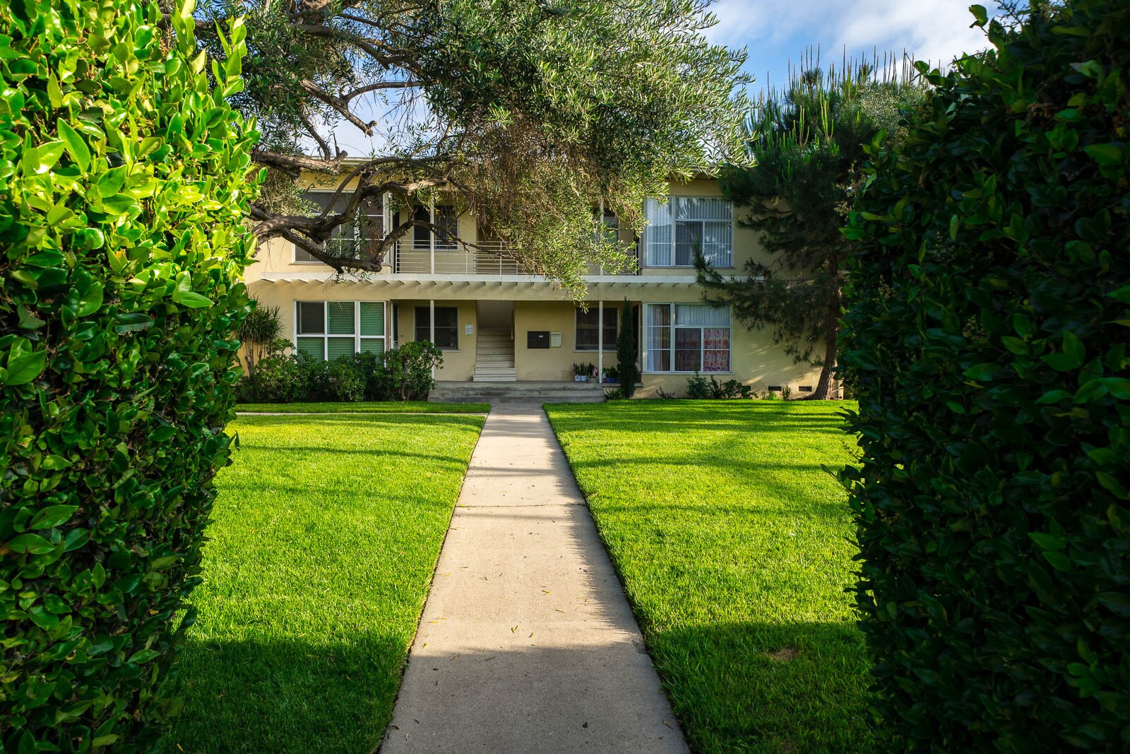 Lawn surrounded by tall hedge - 5782 Clemson St