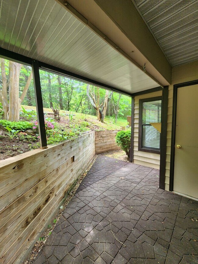 Building Photo - Black Mountain Rental!