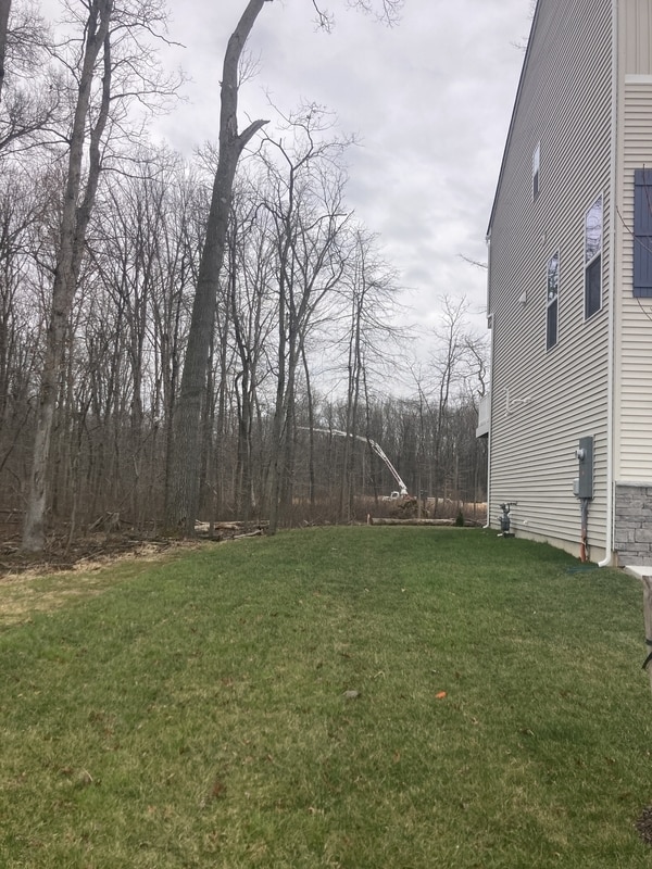 Building Photo - 1951 Bellac Wy