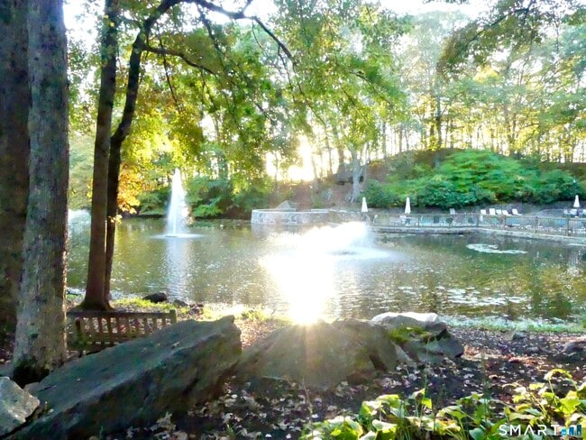 Building Photo - 50 Aiken St