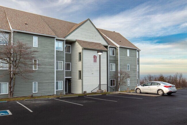 Building Photo - 1260 Ski View Dr