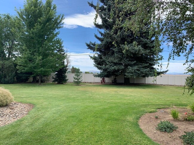 Building Photo - 4 Bedroom, 2 Bath near Pine Grove