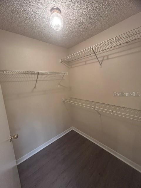 Building Photo - 816 Shell Ln