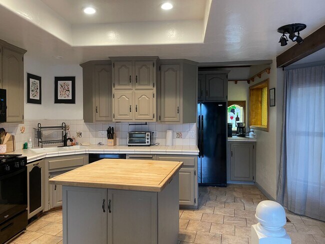 Building Photo - Large home level entry with garage.