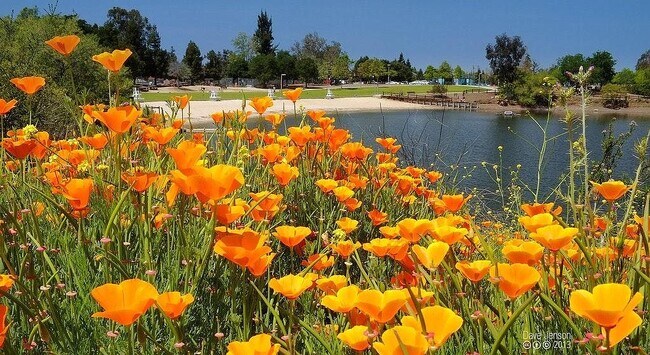 Building Photo - 930 Owens Lake Dr