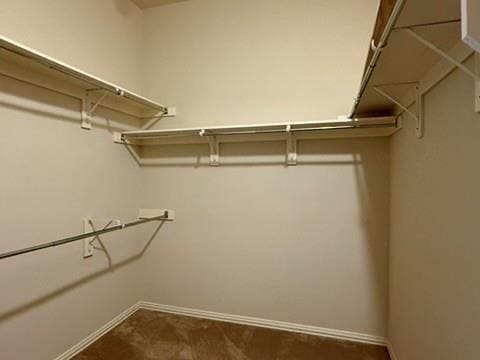 Building Photo - 909 Mangrove Dr