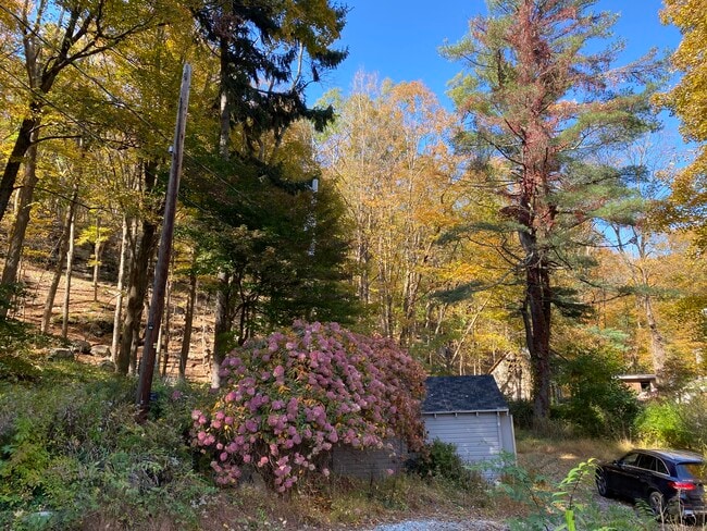 Primary Photo - 8 Paterson Hill Rd