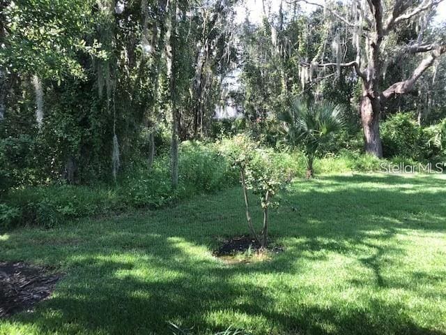Building Photo - 6029 Sandhill Ridge Dr