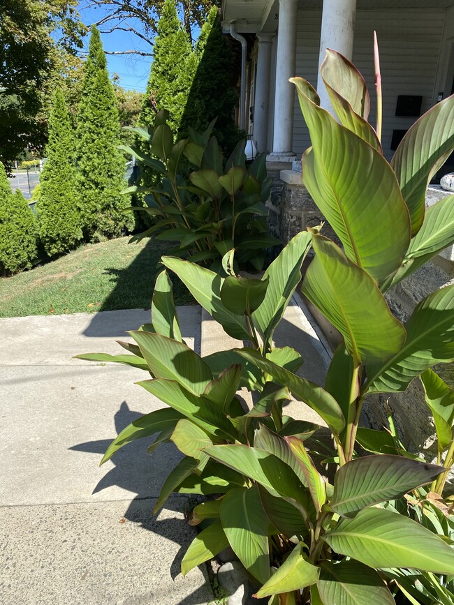 Front Porch Steps - 1013 N 63rd St