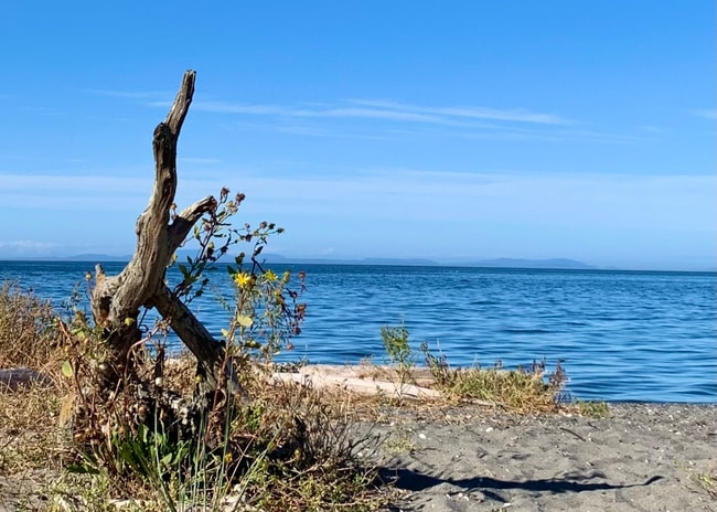 Building Photo - 107 Fairway Dr