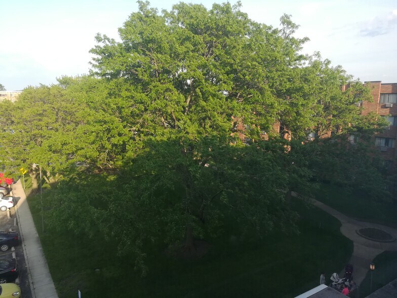 Building Photo - 5310 N Chester Ave