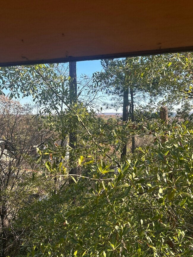 Building Photo - 3416 Mountainside Rd