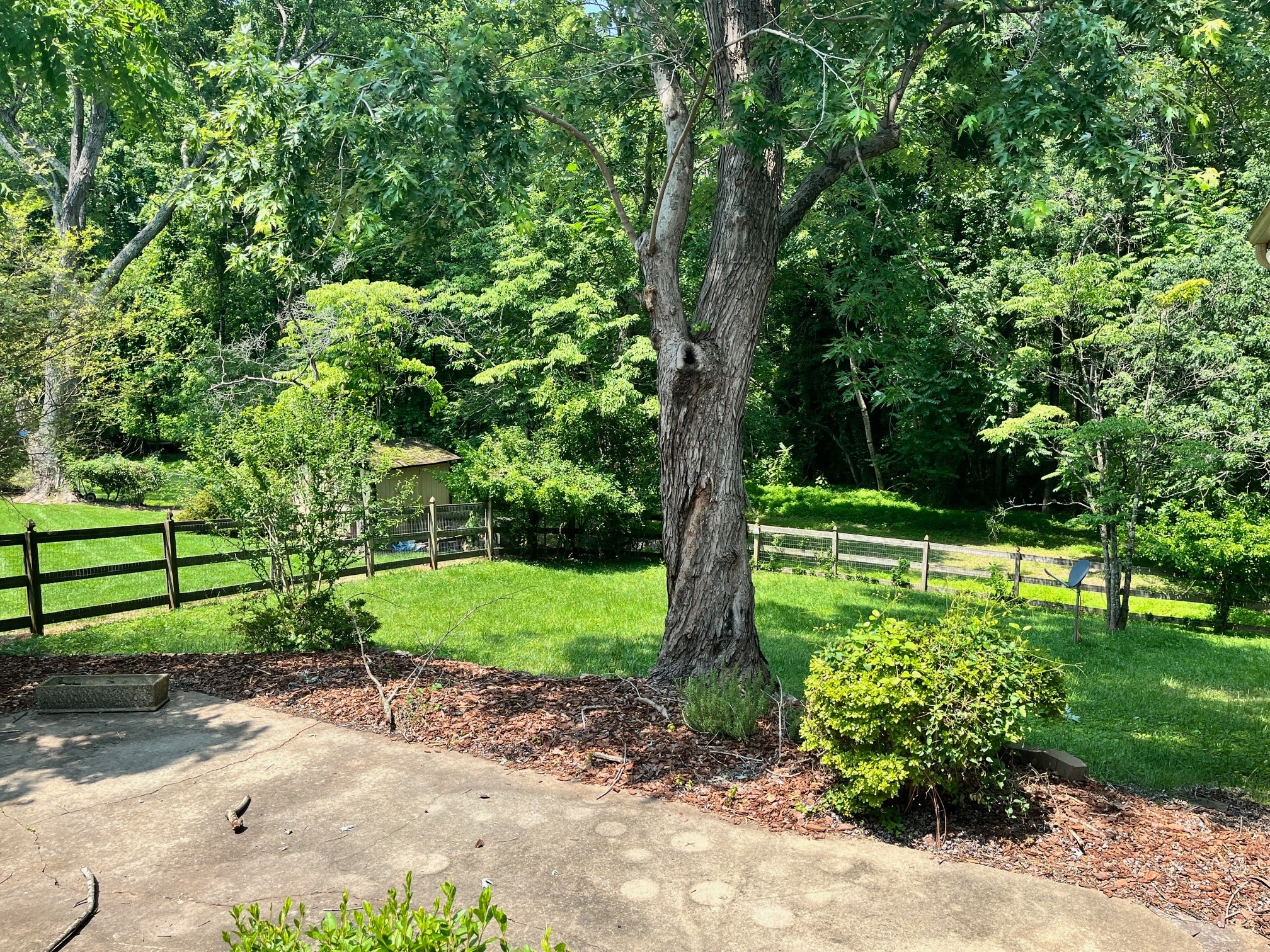 Building Photo - 1005 Hayfield Ln