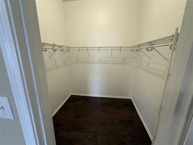 Building Photo - 2808 Appaloosa Ct