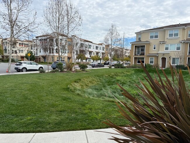 Building Photo - San Jose Comfort, Convenience and Location