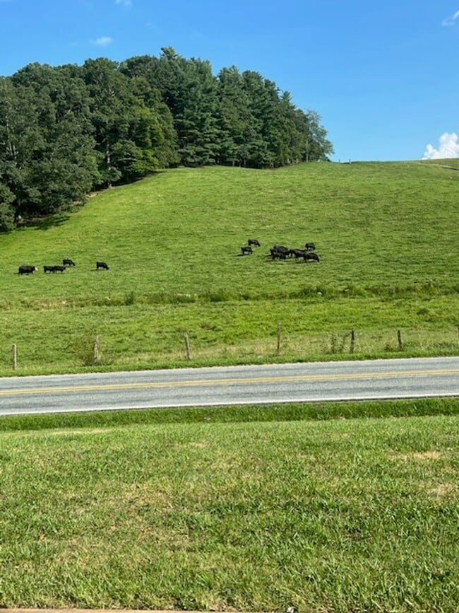 Building Photo - 4 Bedroom Ranch- Close to Town!