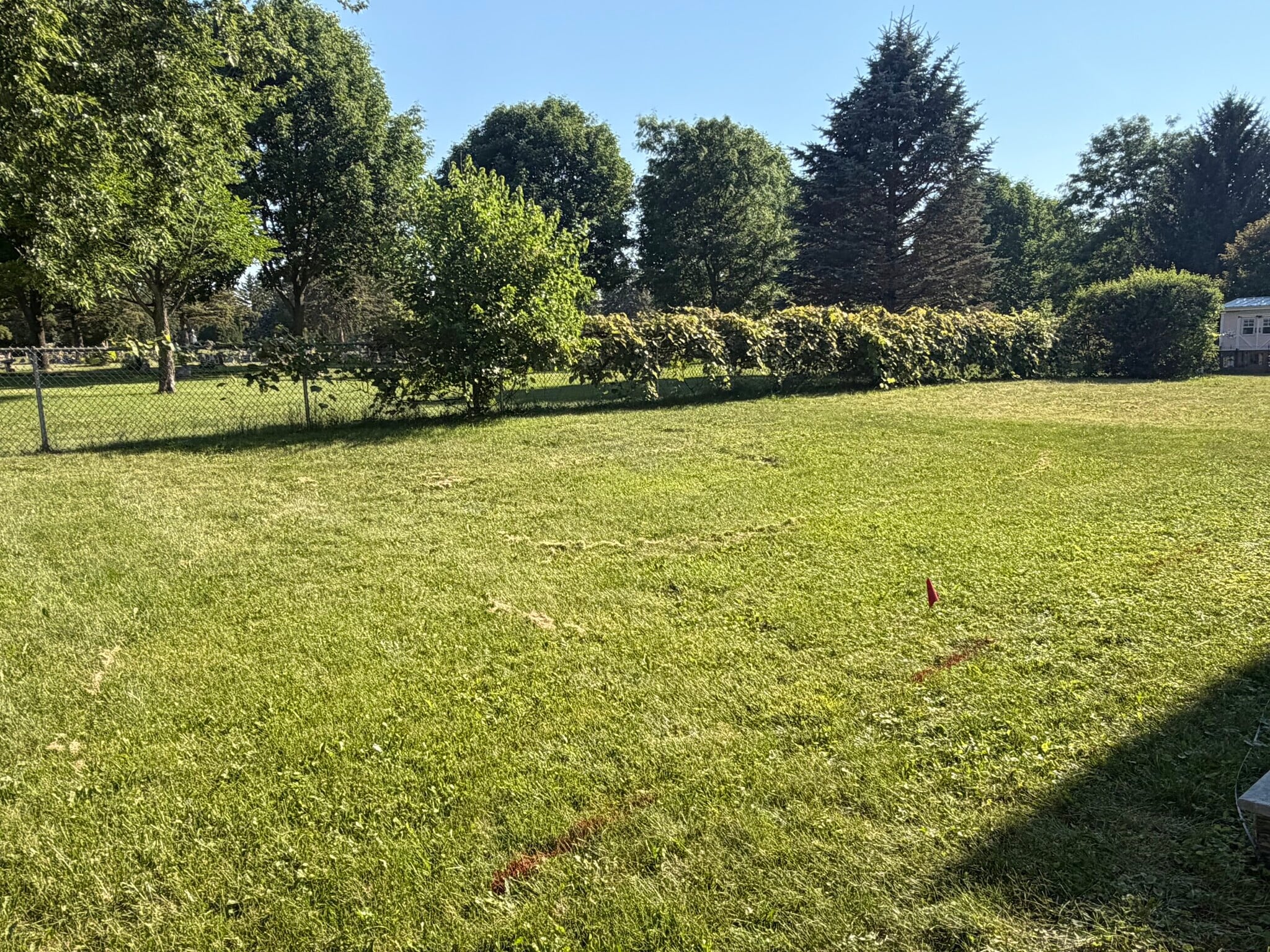 backyard - 207 Llanos St