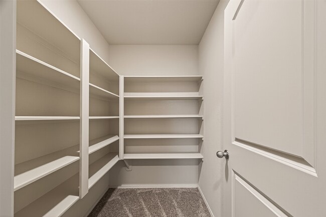 Building Photo - 23506 Umbrella Pine Dr