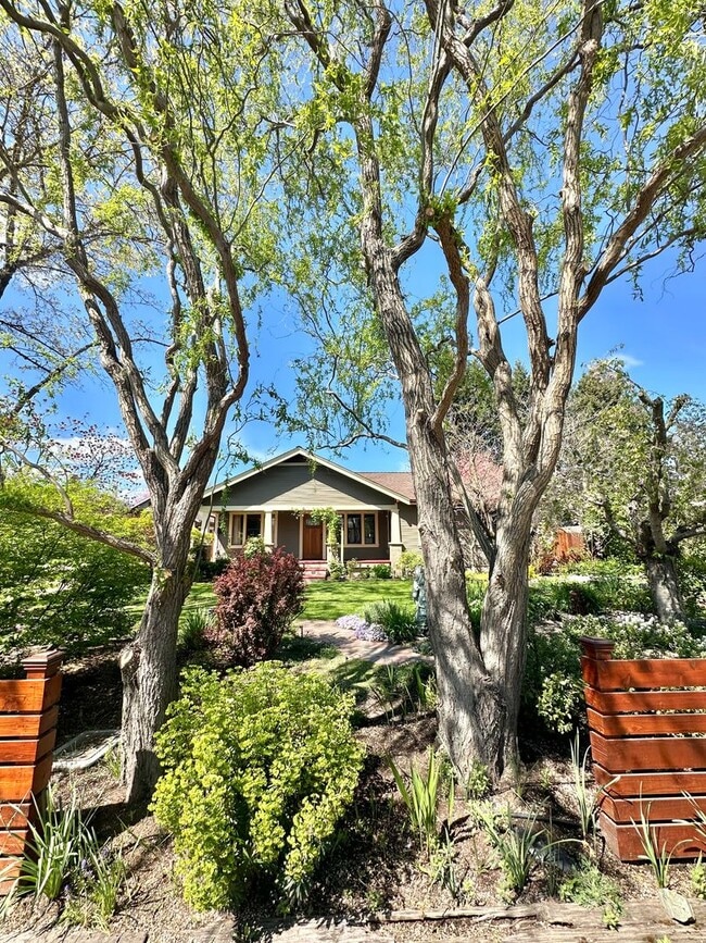 Primary Photo - 3 Bedroom 2 Bath House