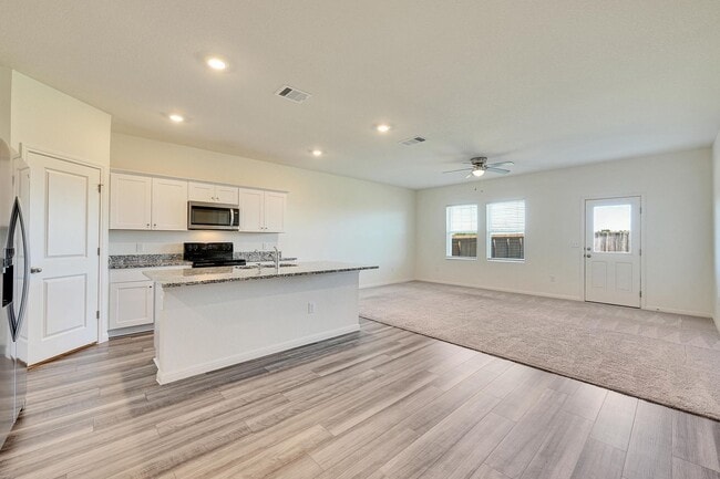 Building Photo - Beautiful home in Pflugerville