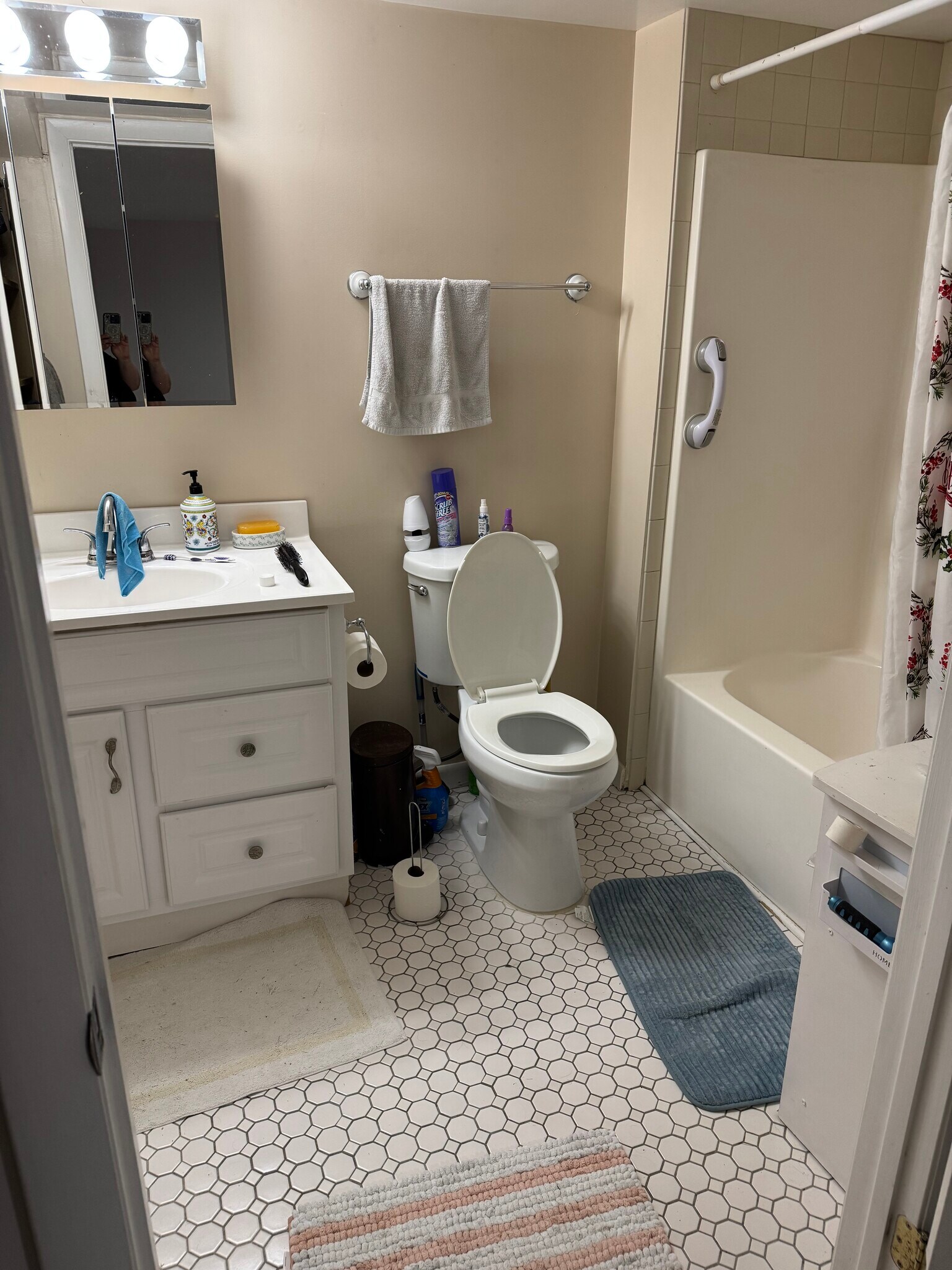 Bathroom - 11 Vanech Dr