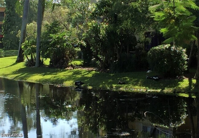 Building Photo - 1645 Spoonbill Ln